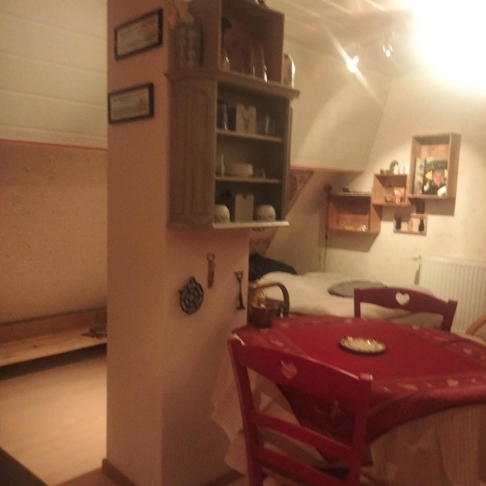 Petit Nied Cosy Au Calme,1 Personne Séjour chez l'habitant Obernai